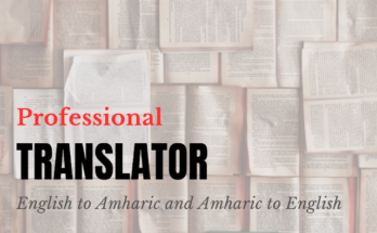 Professional Translator