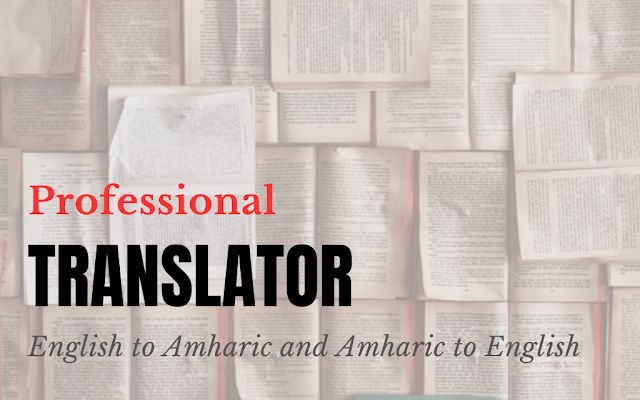 Professional Translator