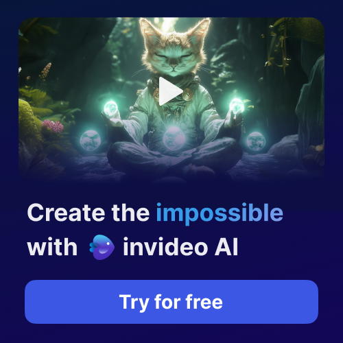 InVideo